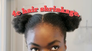 TOP 3 STYLES FOR 4C HAIR SHRINKAGE [upl. by Hanima]