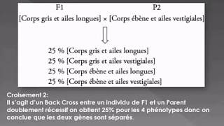 Le Dihybridisme cas des gènes indépendants [upl. by Westlund632]