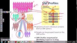 DNA fingerprinting [upl. by Denice]