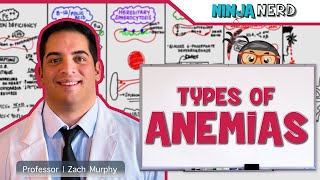 Hematology  Types of Anemias [upl. by Tereve591]