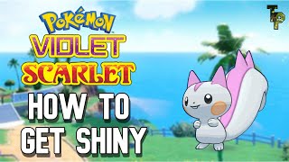 How To Get Easy Shiny Pachirisu  Pokémon Scarlet amp Violet [upl. by Nahtanhoj]