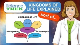 Kingdoms of Life Explained Sort Of  Science Trek [upl. by Hays]