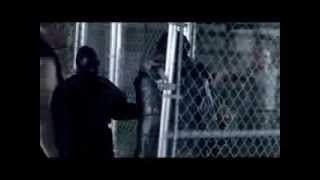 DYSTOPIA 2013 apocalyptic film FULL AUTHORIZED MOVIE [upl. by Nepets234]