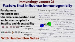 Immunogenicity  Factors that influence immunogenicity  Immunology lecture 21 [upl. by Maritsa]