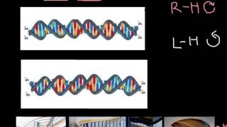 How to recognize LeftHanded and RightHanded DNA [upl. by Gefen]