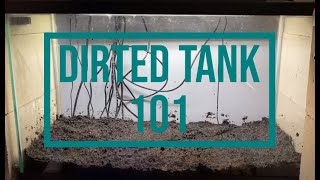 How to setup a Dirted Tank  Guide to a soil substrate Aquarium [upl. by Alliuqat389]