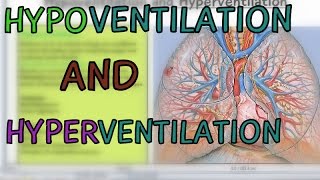 Hypoventilation vs Hyperventilation [upl. by Lithea988]