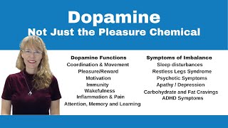 Demystifying Neurotransmitters Serotonin Dopamine and Beyond [upl. by Gilson]