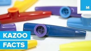 Why the Kazoo is Americas Secret Musical Weapon [upl. by Chipman]