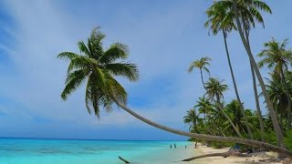 FAKARAVA ATOLL  French Polynesia a 60 Second Tour [upl. by Hallsy]