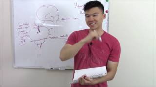 USMLE Neurology 20 Neuro Pathology Herniations [upl. by Ber]