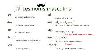 Masculin féminin des noms en français [upl. by Haland582]