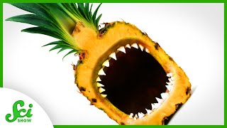 How Do Pineapples Eat Us Back [upl. by Darian]