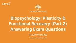 Revision Webinar Biopsychology – Plasticity amp Functional Recovery Part 2 Answering Exam Questions [upl. by Yuh]