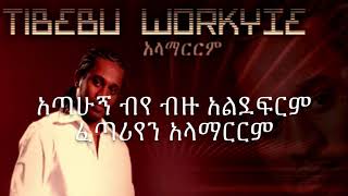 Tibebu Workye  Alamarrm ጥበቡ ወርቅዬ  አላማርርም With LYRICS Ethiopian music HD [upl. by Bathsheeb]