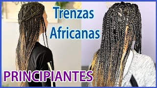 TRENZAS AFRICANAS CON EXTENSIONES  Principiantes [upl. by Ashelman]