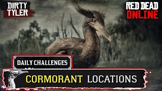 RDR2 Cormorant Locations Red Dead Online Daily Challenges [upl. by Oakley734]