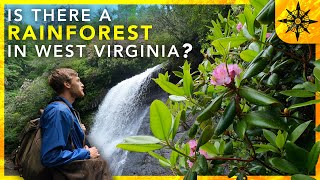 Is There A Rainforest In West Virginia [upl. by Auqenet]