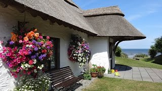 Summer at The Cottages Ireland [upl. by Opaline]