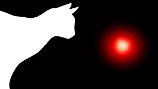 CAT GAMES  LASER CHASER FOR CATS ONLY [upl. by Yeargain]