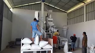 best mini rice mill 15 TPH PHNE [upl. by Harri]