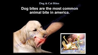 Dog amp Cat Bites  Everything You Need To Know  Dr Nabil Ebraheim [upl. by Assital]