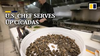 US chef serves up cicadas as billions emerge after 17 years underground [upl. by Aikat]