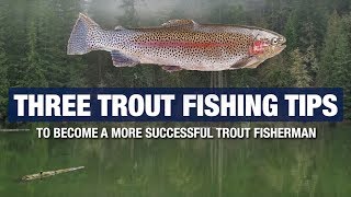 3 Advanced Trout Fishing Tips and Tricks  Become A Better Trout Fisherman [upl. by Taimi]