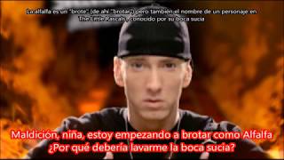 We Made You  Eminem Subtitulada en español [upl. by Traggat]