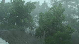 Heavy Rain and Wind Sounds For Sleeping  Relaxation  10 Hours [upl. by Ennaitsirhc]