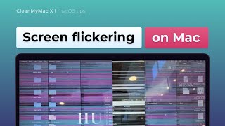 How to Fix Screen Flickering on a Mac [upl. by Samford]