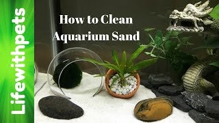 How to Clean Aquarium Sand [upl. by Anert861]