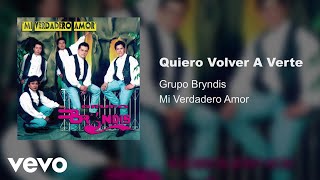 Grupo Bryndis  Quiero Volver A Verte Audio [upl. by Brawner]