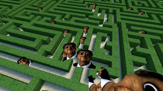 Obunga Maze [upl. by Botnick]