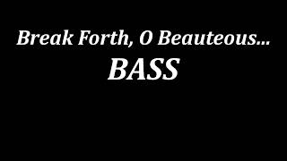 Break Forth BASS [upl. by Enait]