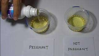 Home Pregnancy Test with Bleach Positive [upl. by Aicilak]