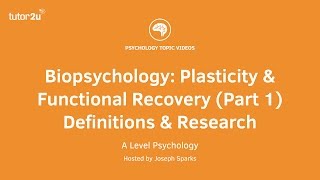 Revision Webinar Biopsychology – Plasticity amp Functional Recovery Part 1 Definitions amp Research [upl. by Snej719]