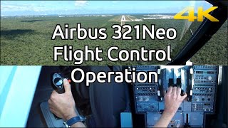 A321Neo flight controls operation and a bird strike [upl. by Libnah43]