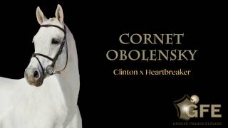 CORNET OBOLENSKYGFE 2017 [upl. by Urba]