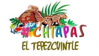 Chiapas  El Tepezcuintle [upl. by Eiramik]