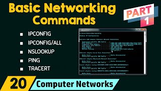 Basic network components [upl. by Avin]