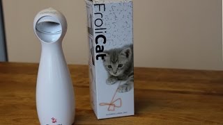 Can a Laser Toy Make Your Cat Crazy [upl. by Aneer]