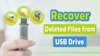 Full Guide How to Recover Deleted Files from USB Drive withwithout Software [upl. by Enelyk]