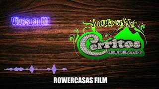 Vives en Mi  La Imparable Banda Cerritos  Estreno Rw Oficial [upl. by Malchus]