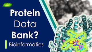 How to Use Protein Data Bank  What is PDB  PyMol Series  Part1  Basic Science Series [upl. by Niki354]