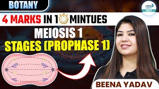 Stages of Prophase 1 of Meiosis 1  🎯4 Marks in ⏰ 10 Minutes  Class 11 botany  NEET 2025 [upl. by Kwasi638]