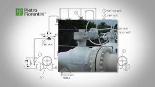 Pietro Fiorentini REFLUX 819 FO Startup and Shutdown with 3way Inlet Pilot Valve [upl. by Abana]