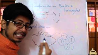 Transformation Vs Transfection [upl. by Chantalle]