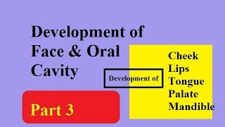 Development of face amp oral cavity  Part 3 [upl. by Joanna90]