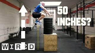 Why Its Almost Impossible to Jump Higher Than 50 Inches  WIRED [upl. by Atinehc]